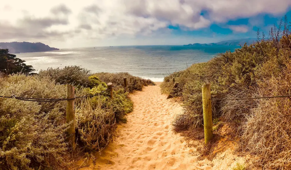 Sandy path winding through coastal scrub toward the sea