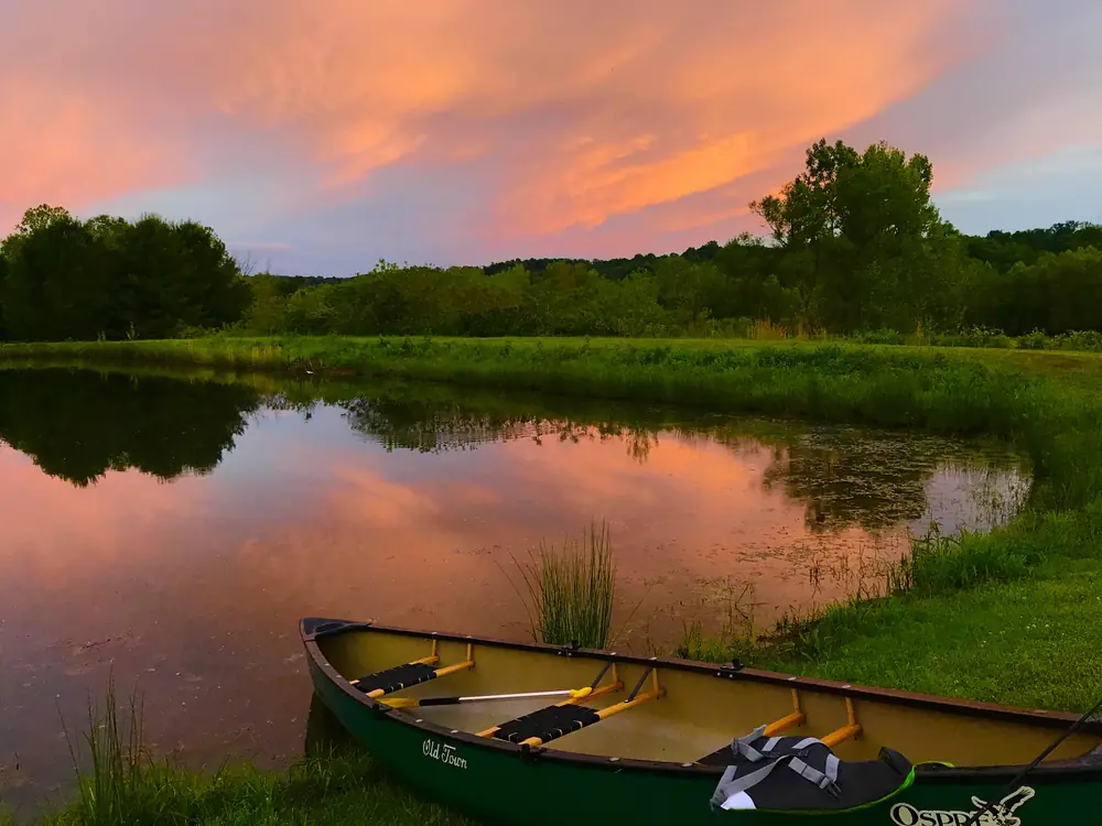 Canoe at the edge of a still pond beneath a pink sunset