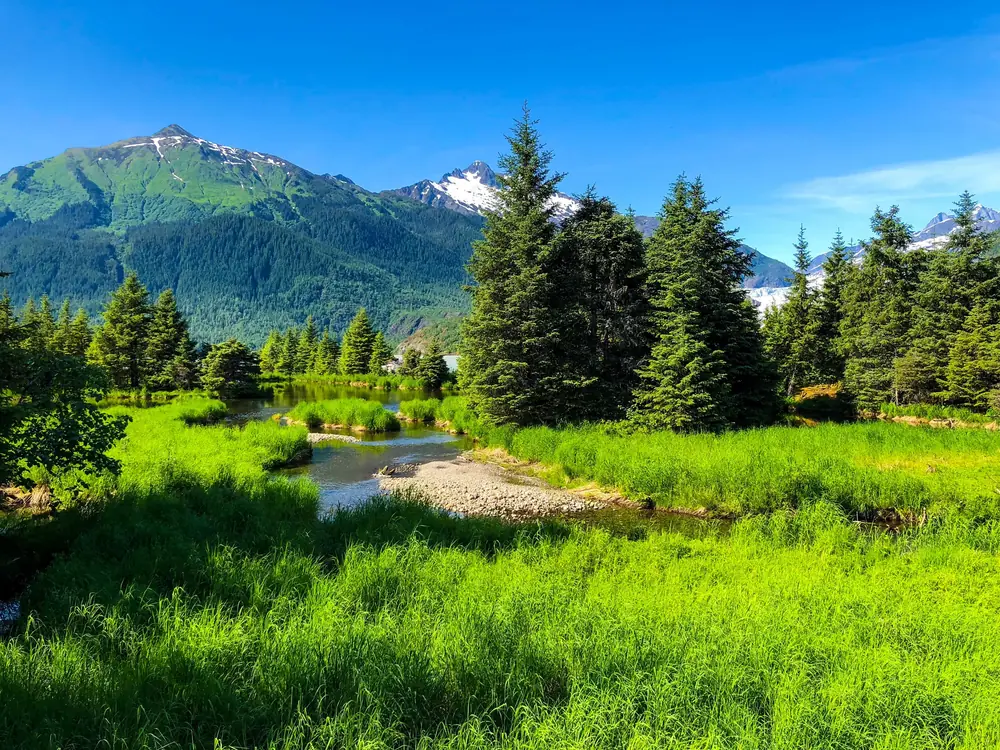 Creek through green meadow below snow-capped peaks