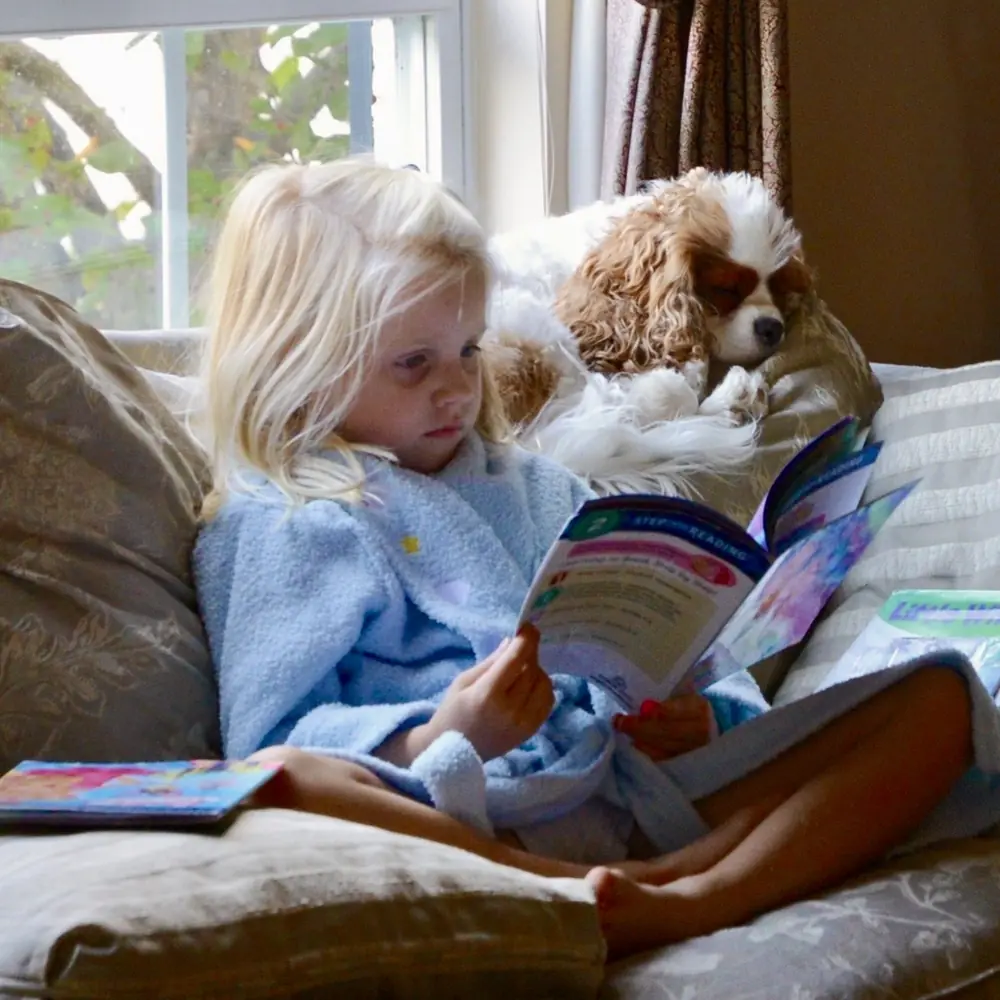 Girl reading on a sofa with a spaniel beside her