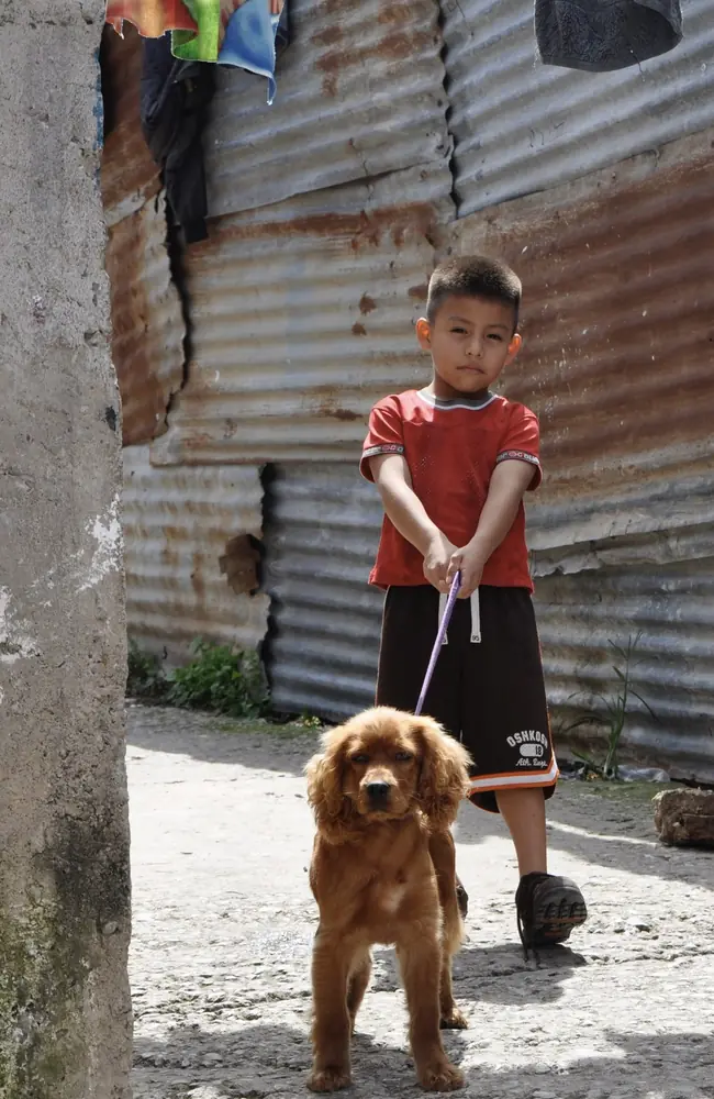 Boy walking a cocker spaniel down an alley